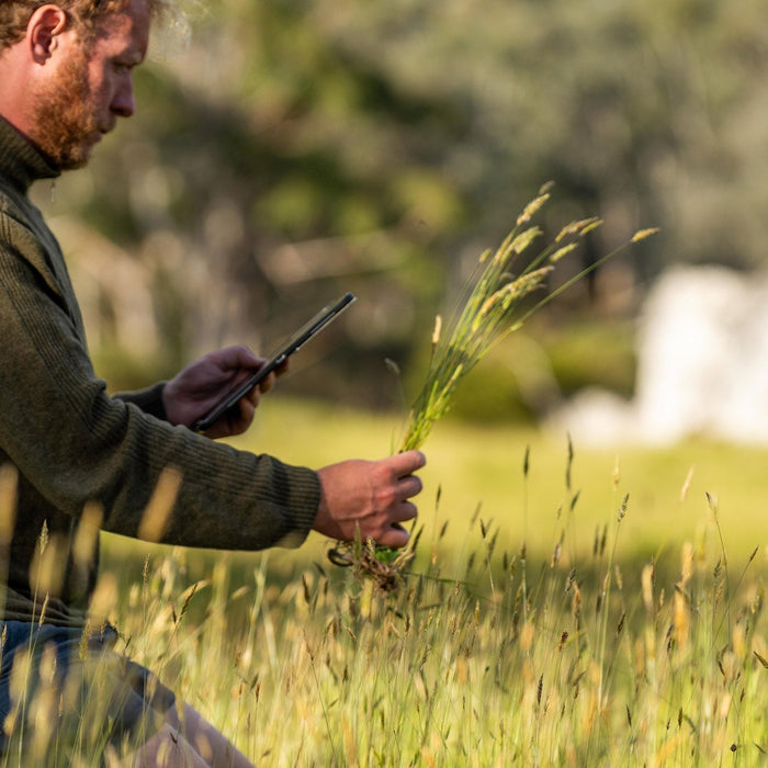 Regionale Nahrungsmittel aus Deutschland: Nährstoffbomben im Frühling
