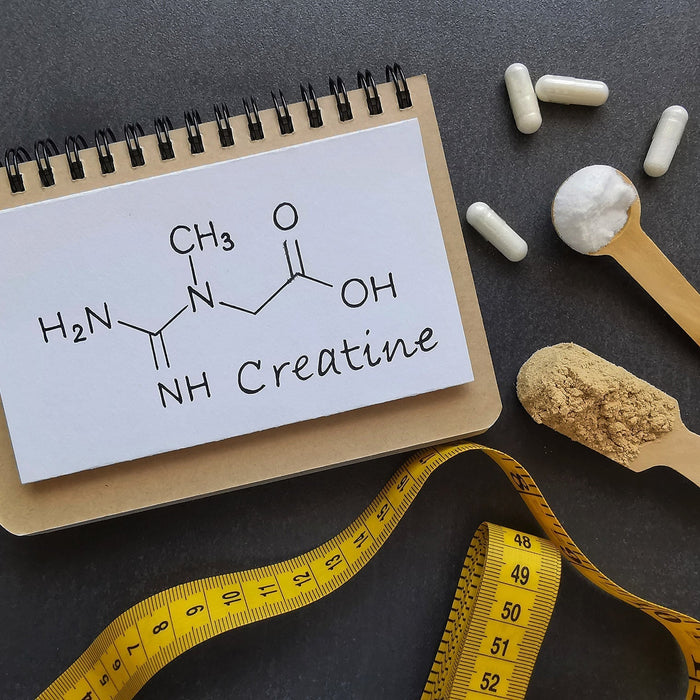 Wieso Kreatin Monohydrat?