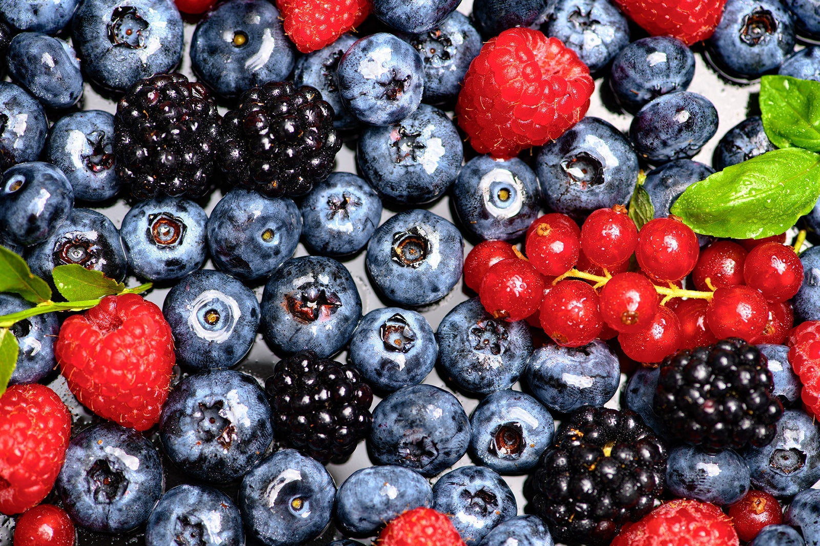 Wieso sind Beeren so gesund? – Kleine Früchte, große Wirkung
