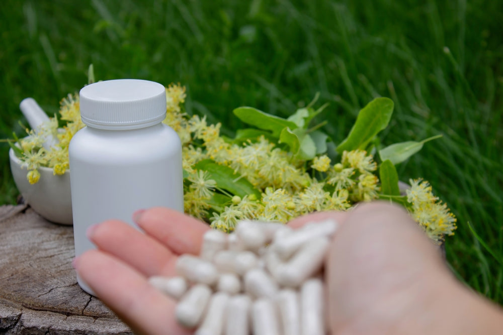 Warum Grüntee als Kapsel besonders effektiv ist