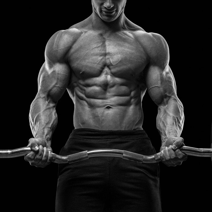 Wie oft sollte man in der Woche trainieren?