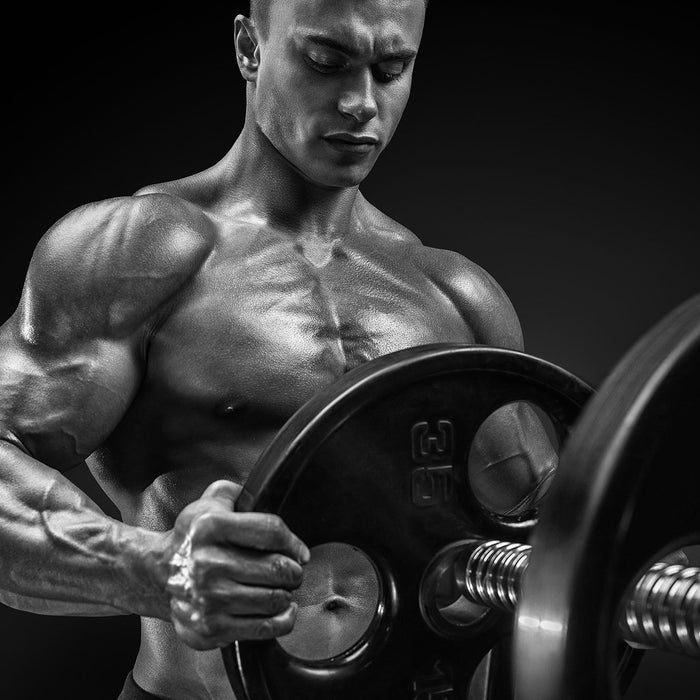 Bodybuilding – Warum es heißt: 