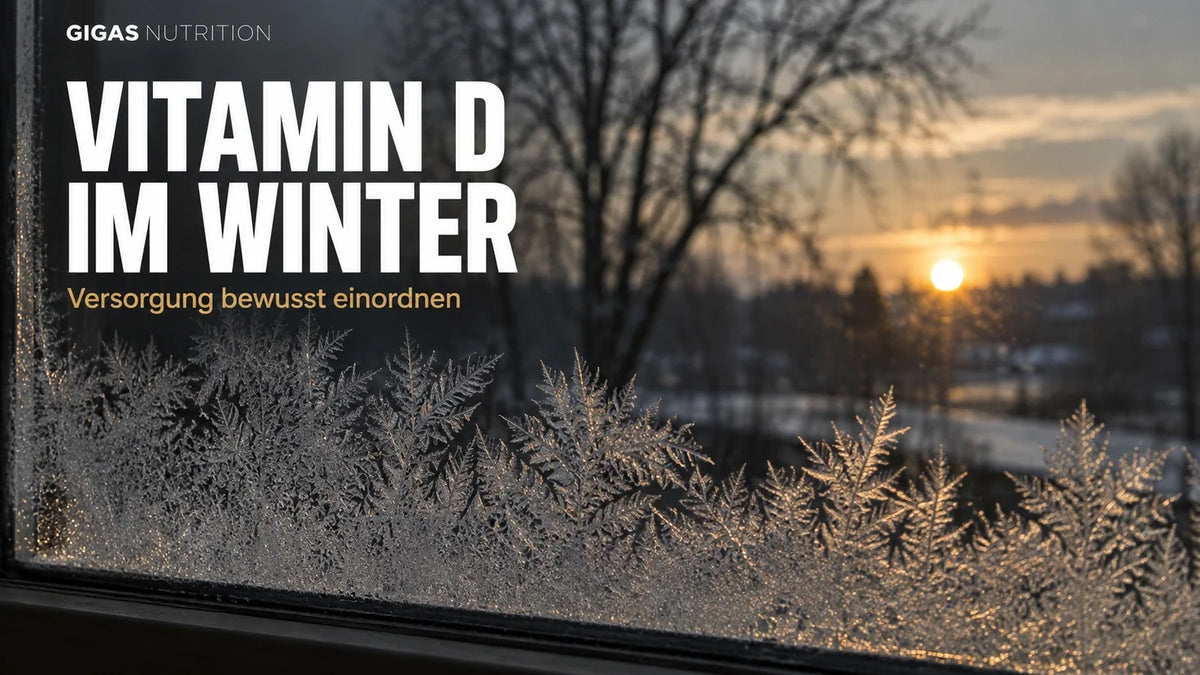 Winterlicht am Fenster: tief stehende Sonne hinter Eisblumen.