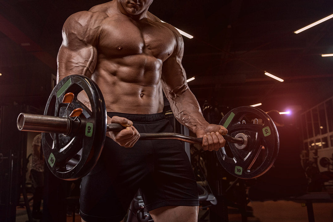 Wie Bodybuilder wirklich hart und definiert werden