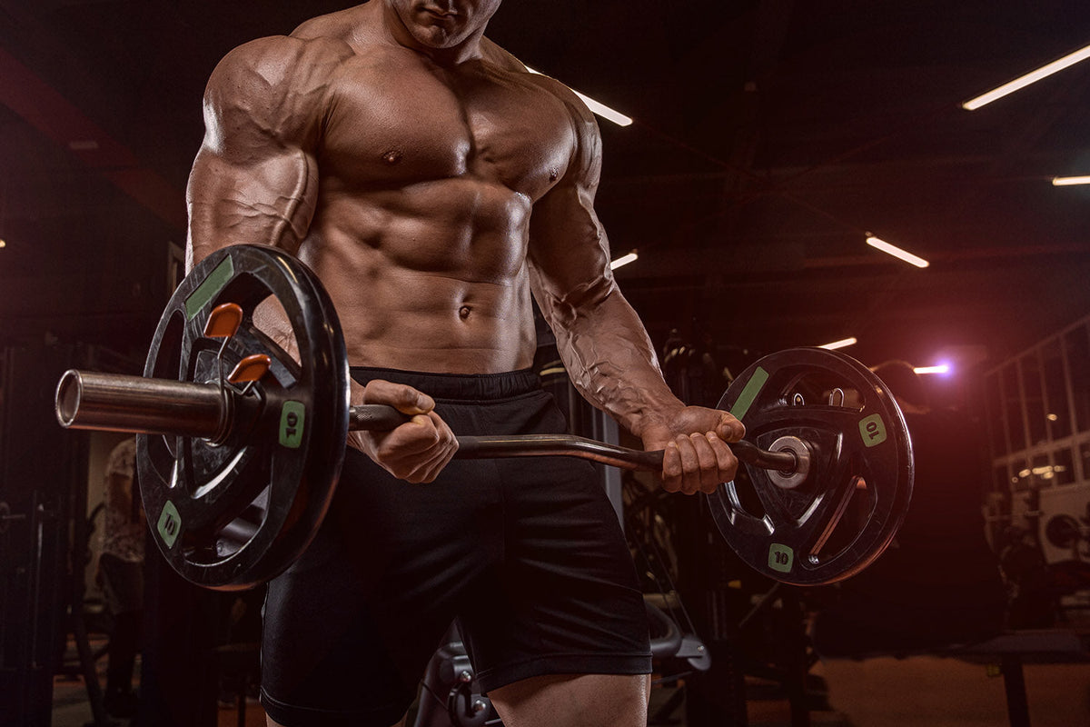 Wie Bodybuilder wirklich hart und definiert werden