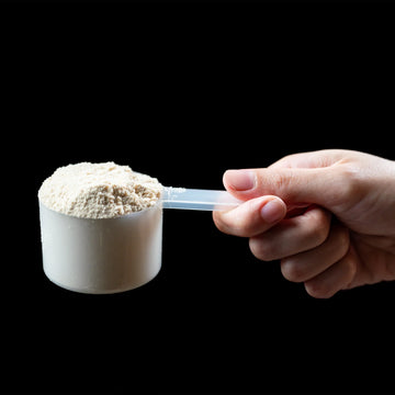 The Glutamine