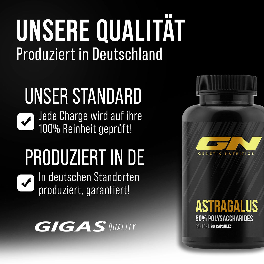 Astragalus Kapseln