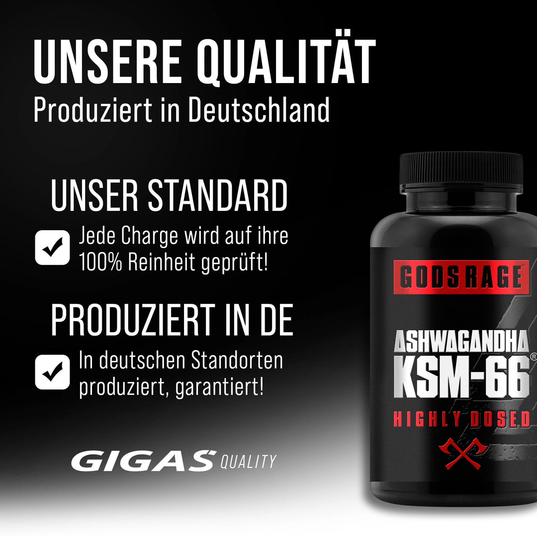 Ashwagandha KSM-66® · 120 capsules