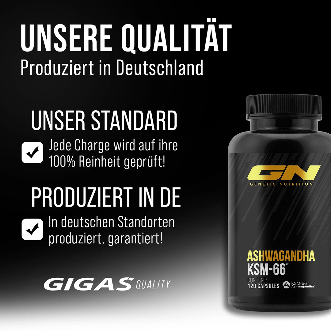 Ashwagandha KSM-66® - 120 capsules