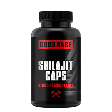 Shilajit Kapseln