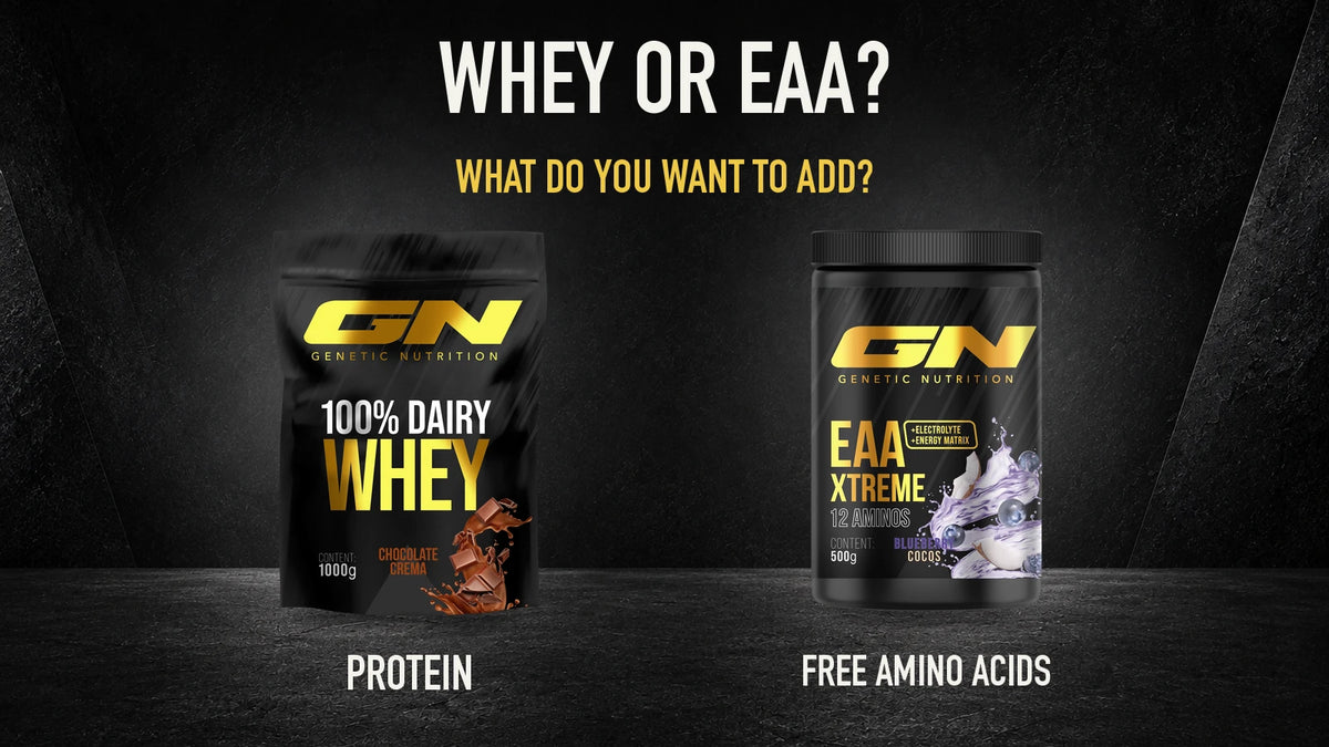 Amino acids or protein shake: differences and how to decide